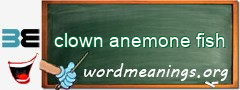 WordMeaning blackboard for clown anemone fish